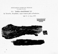 Image Associated With the Occurence